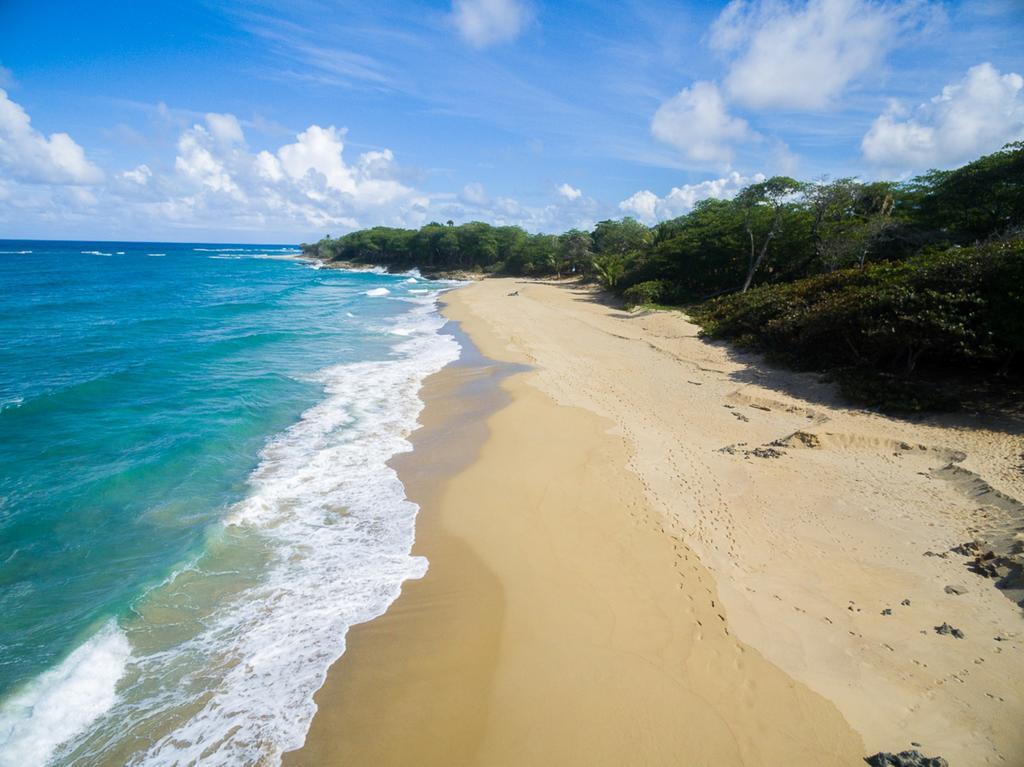 Natura Cabana Boutique Hotel & Spa By Mint Cabarete Eksteriør billede