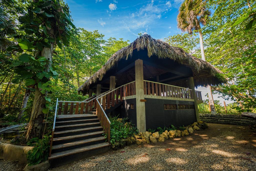 Natura Cabana Boutique Hotel & Spa By Mint Cabarete Eksteriør billede