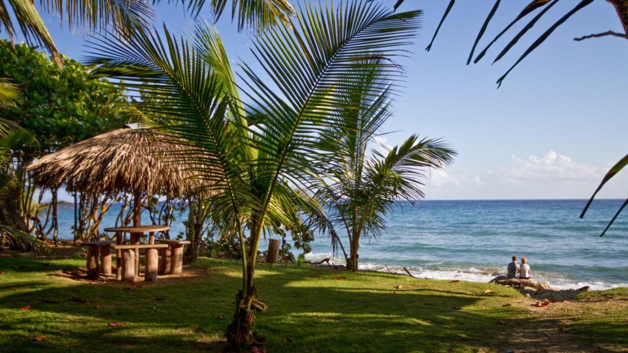 Natura Cabana Boutique Hotel & Spa By Mint Cabarete Eksteriør billede